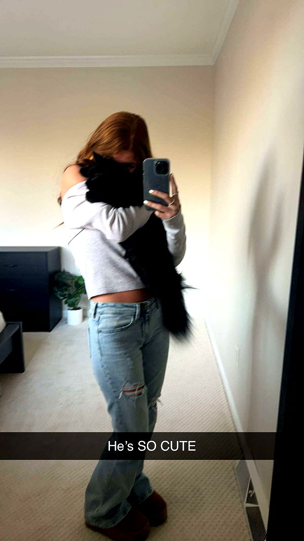 carmmieecat image ~ Altpins