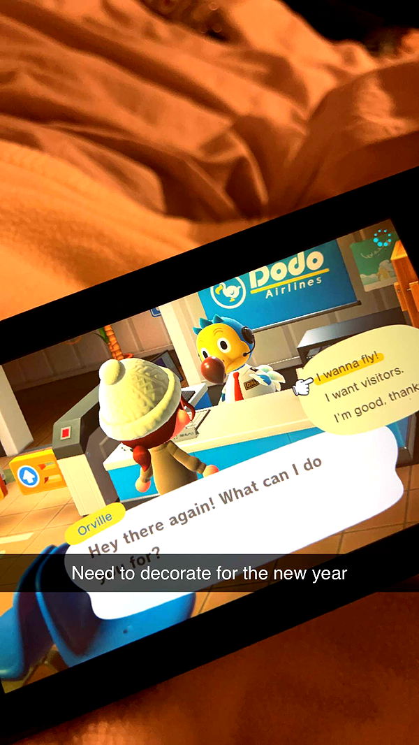 carmmieecat image ~ Altpins