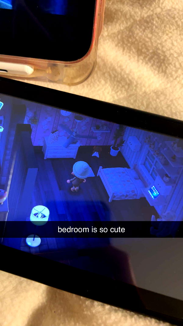 carmmieecat image ~ Altpins