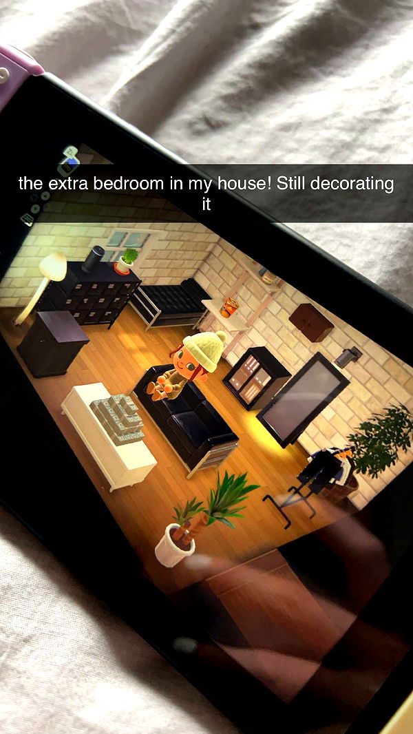 carmmieecat image ~ Altpins