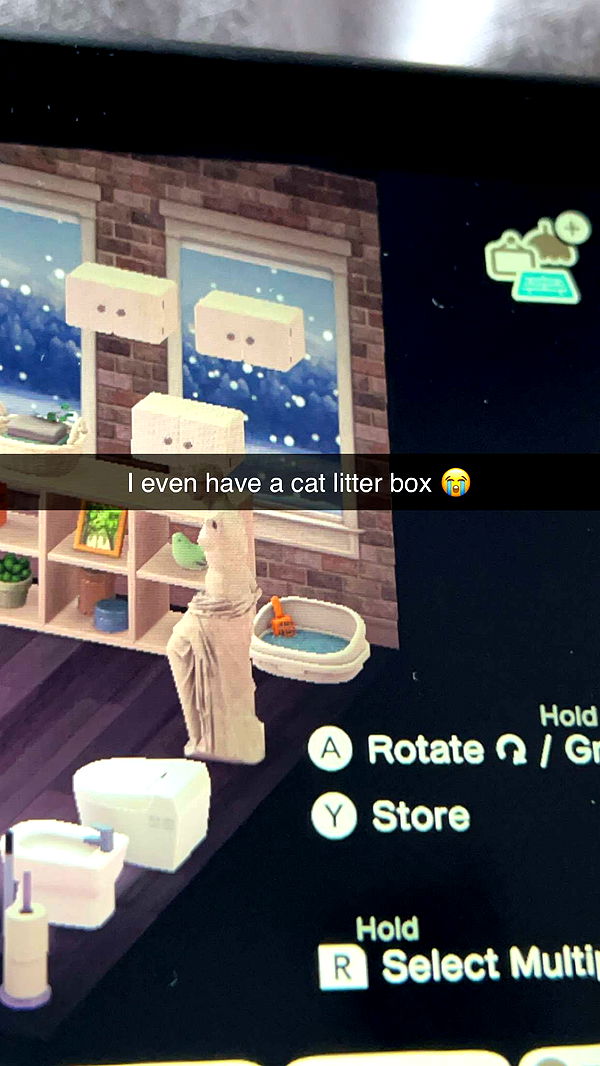 carmmieecat image ~ Altpins