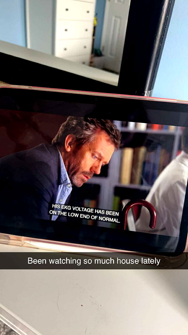 carmmieecat image ~ Altpins