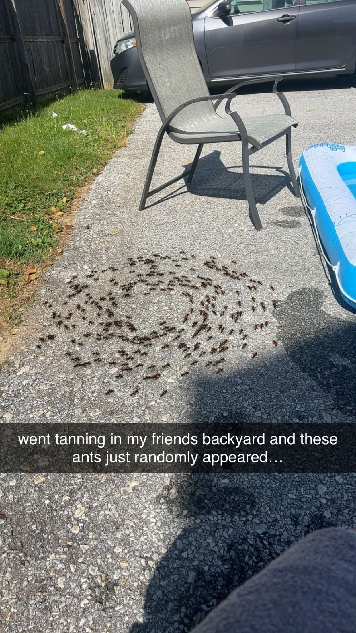 carmmieecat snapchat image archive image