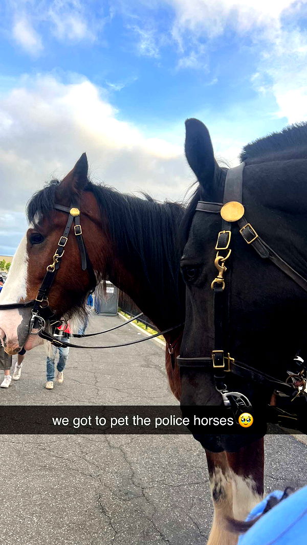 carmmieecat image ~ Altpins