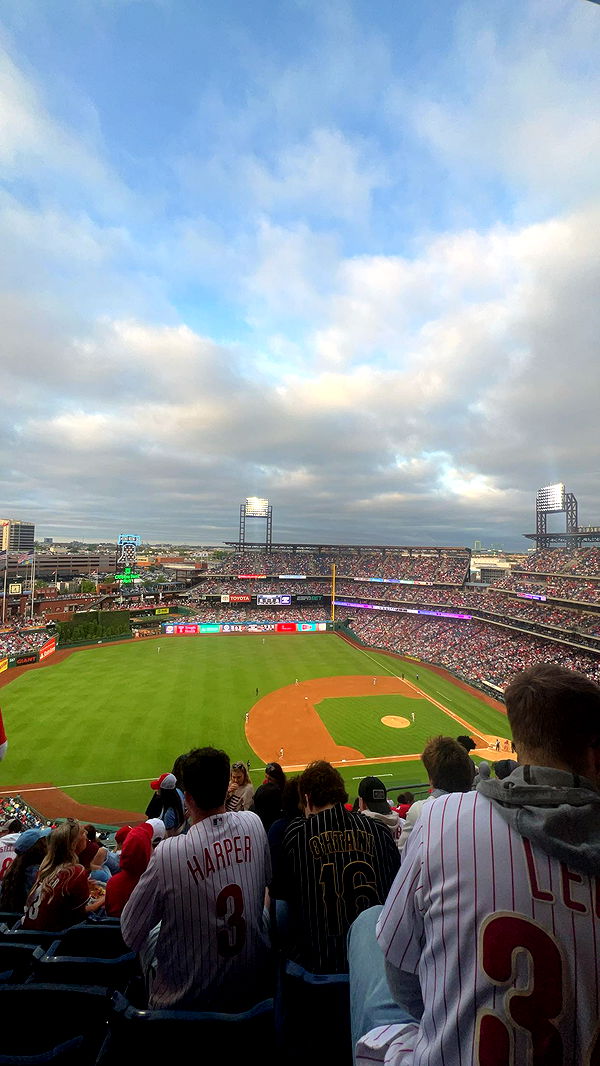 carmmieecat image ~ Altpins