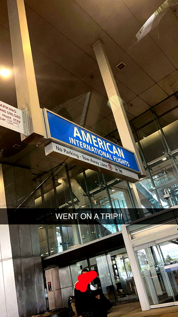 carmmieecat image ~ Altpins