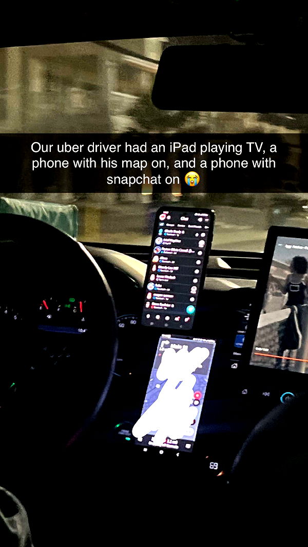 carmmieecat image ~ Altpins