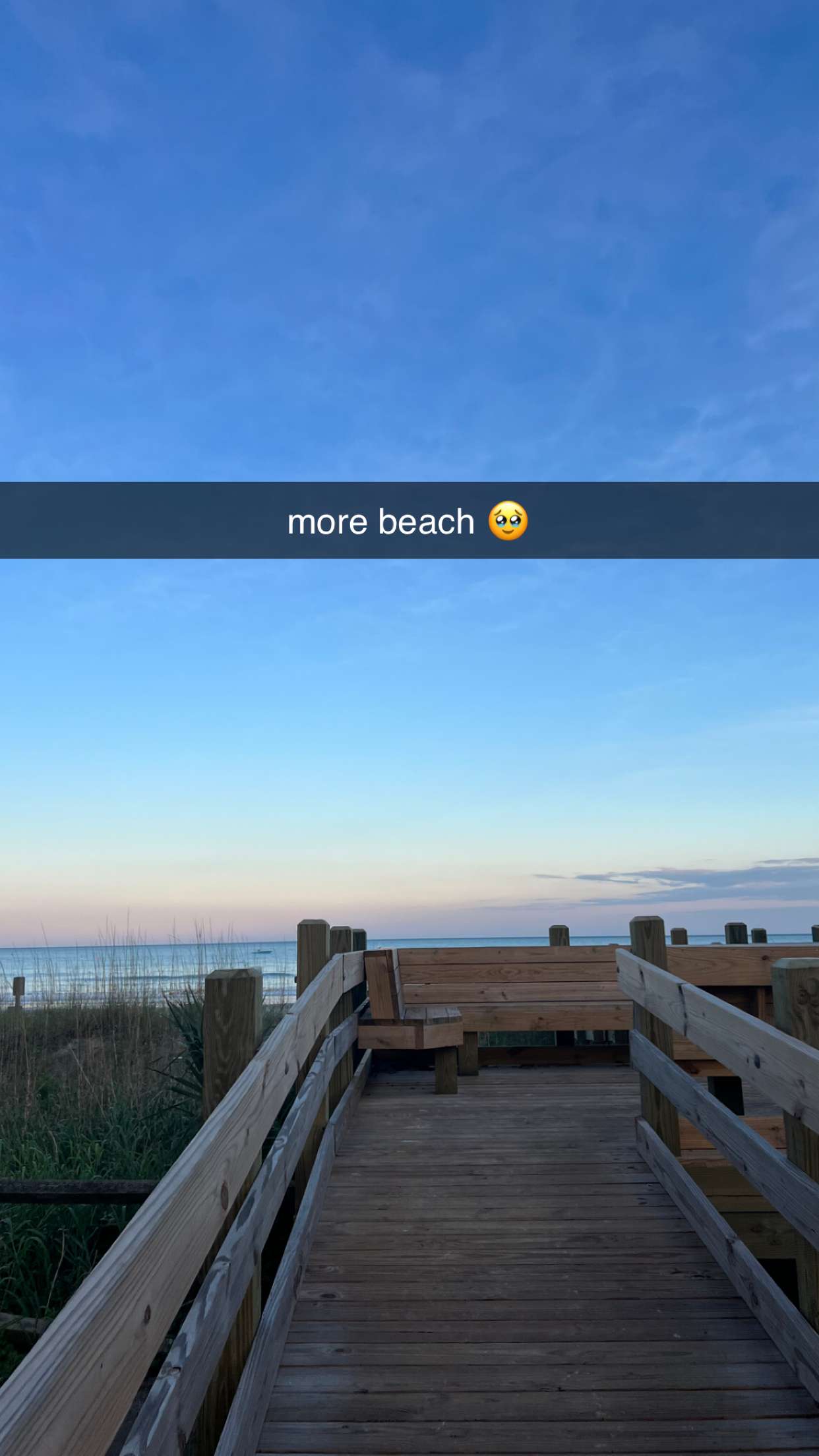 carmmieecat snapchat image archive image