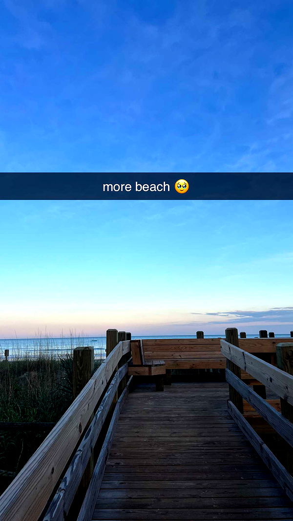 carmmieecat image ~ Altpins