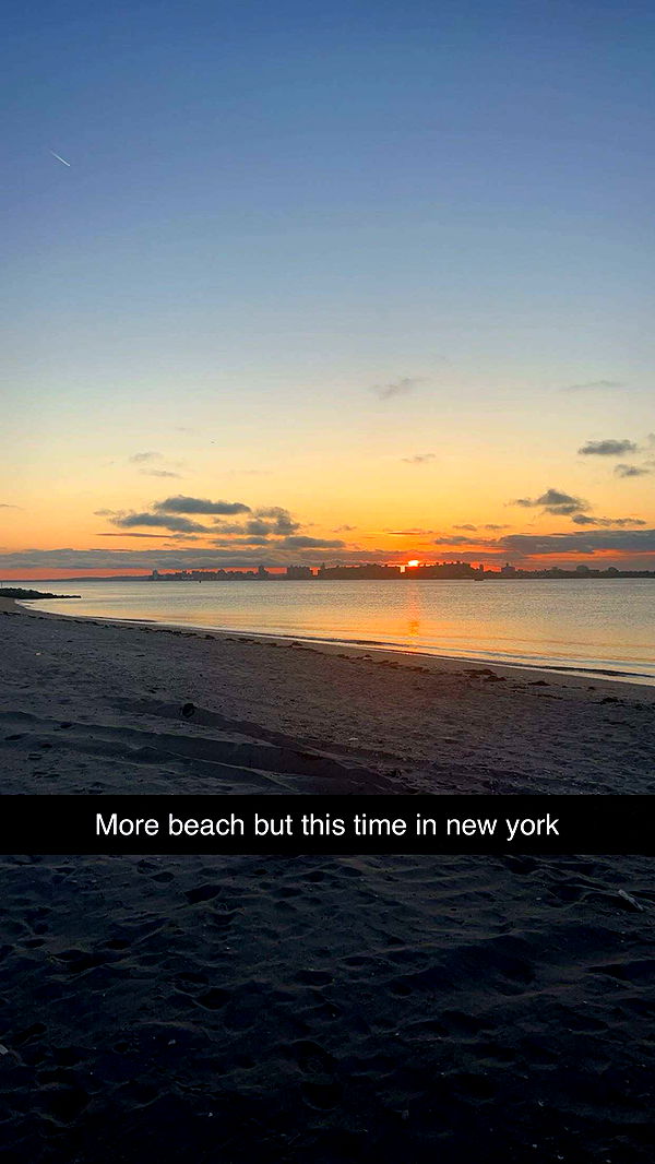 carmmieecat image ~ Altpins