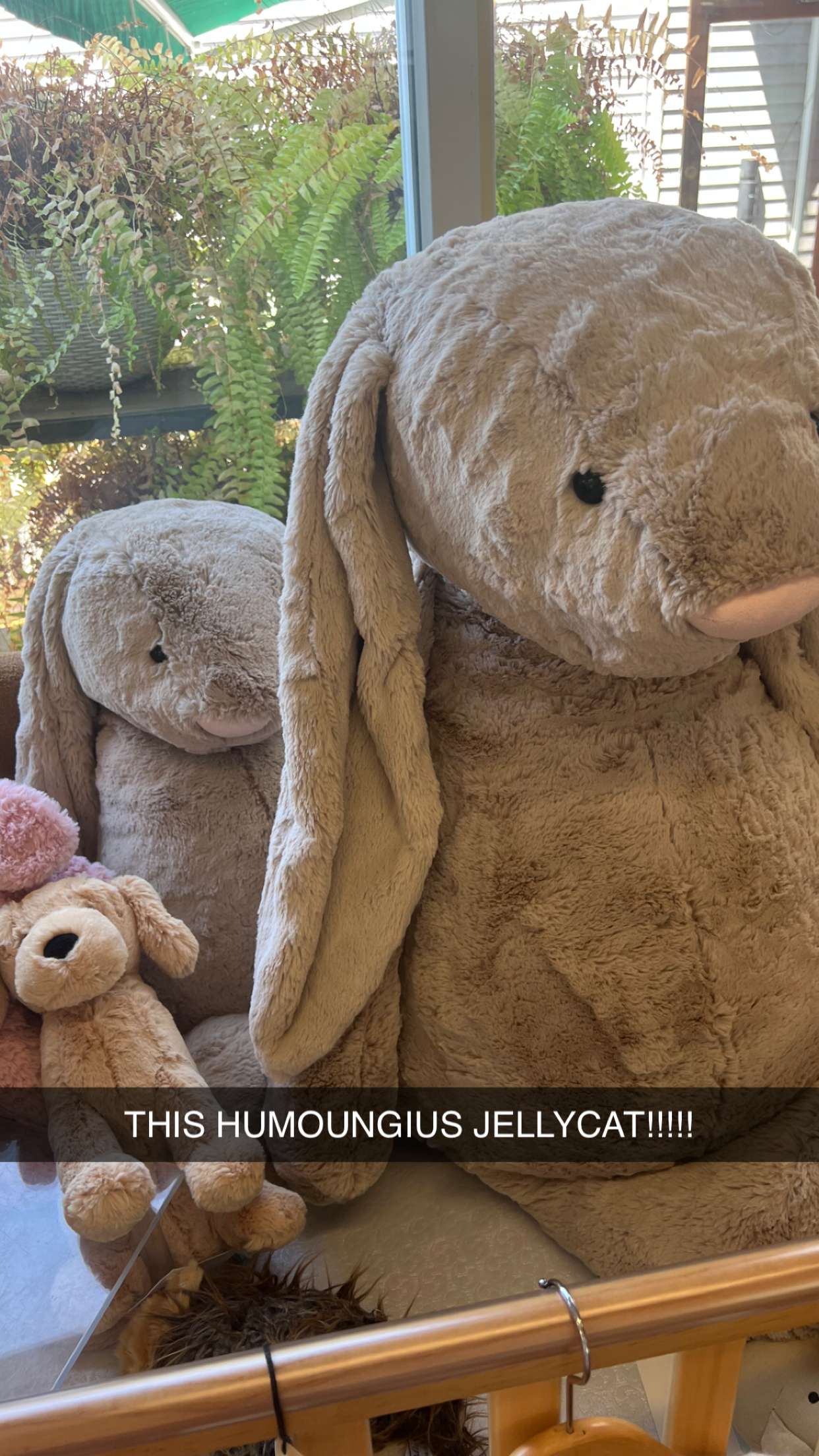 carmmieecat snapchat image archive image