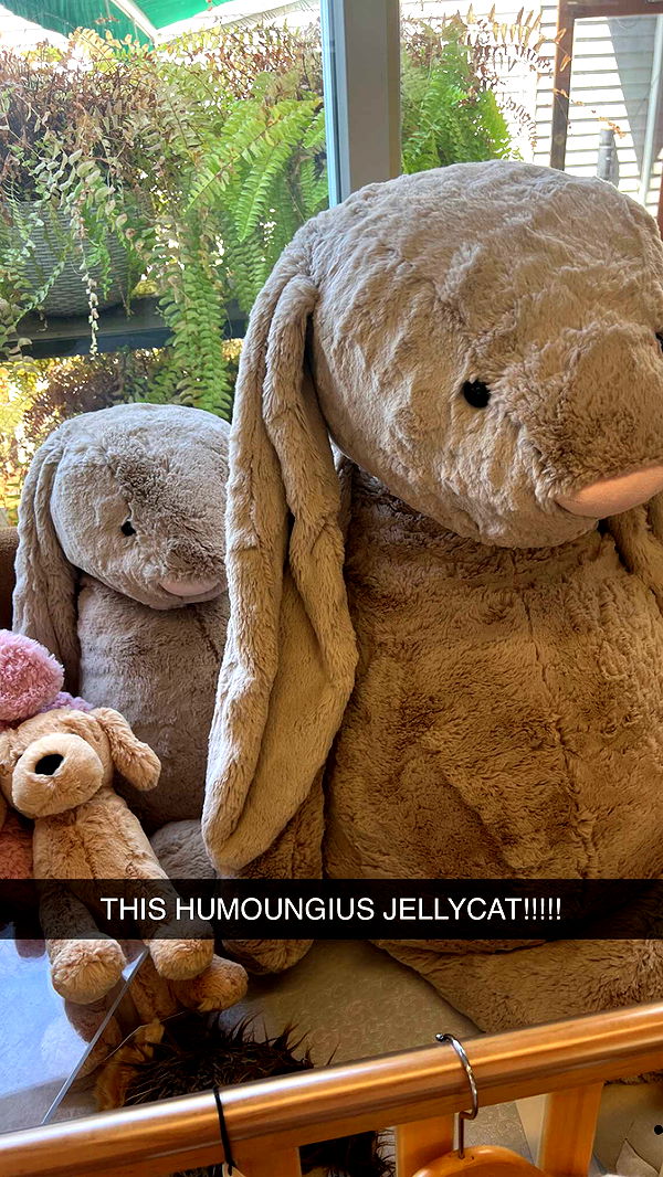 carmmieecat image ~ Altpins