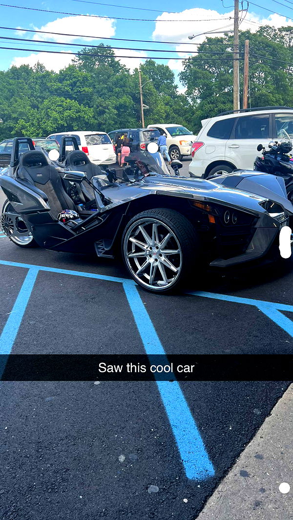 carmmieecat image ~ Altpins