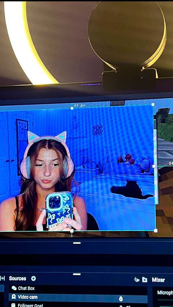 carmmieecat image ~ Altpins