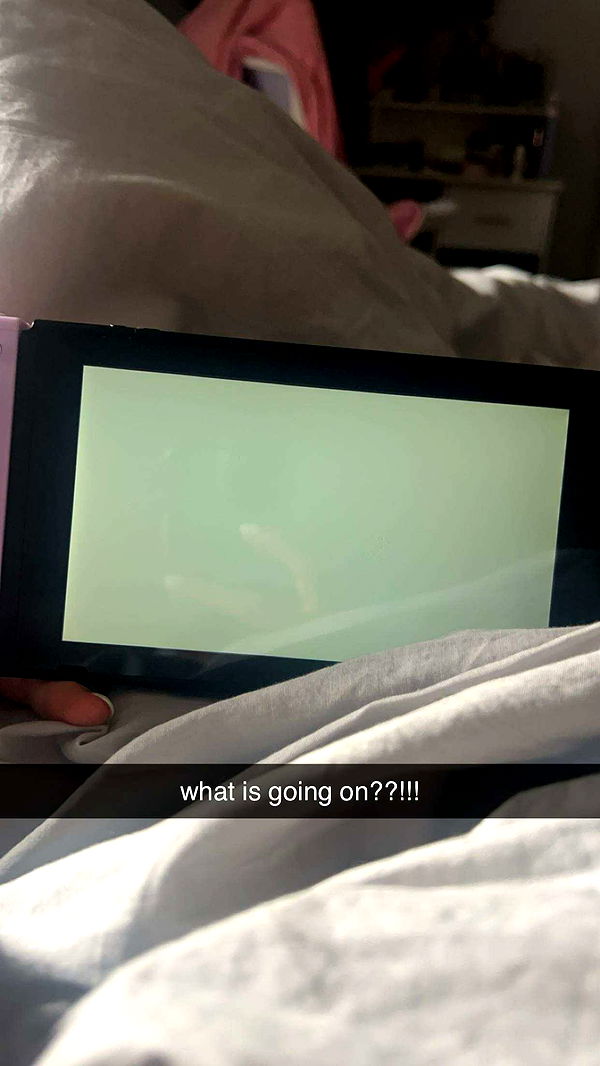 carmmieecat image ~ Altpins