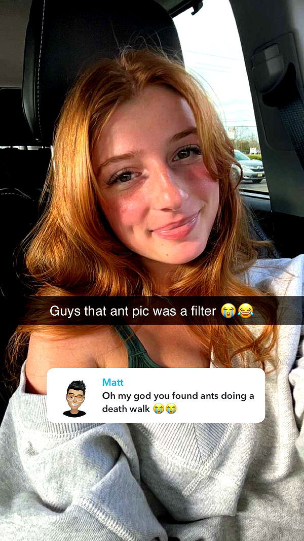 carmmieecat image ~ Altpins