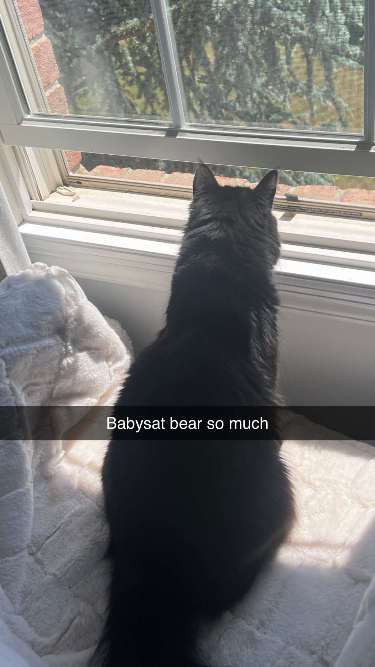 carmmieecat snapchat image archive image