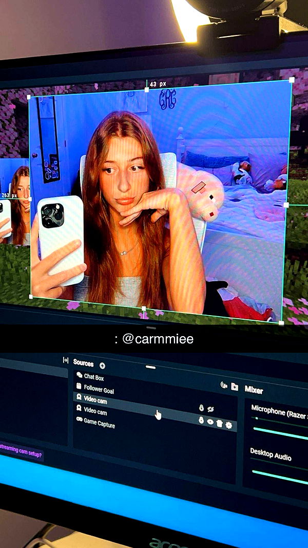 carmmieecat image ~ Altpins