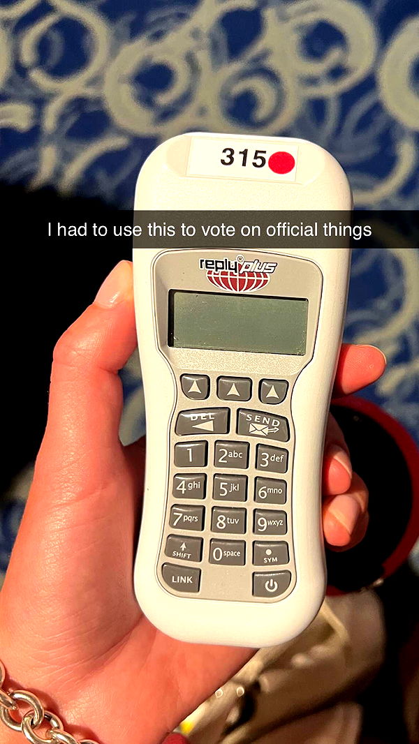 carmmieecat image ~ Altpins