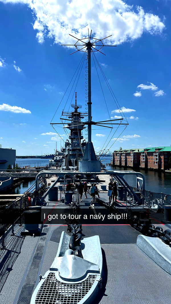 carmmieecat image ~ Altpins