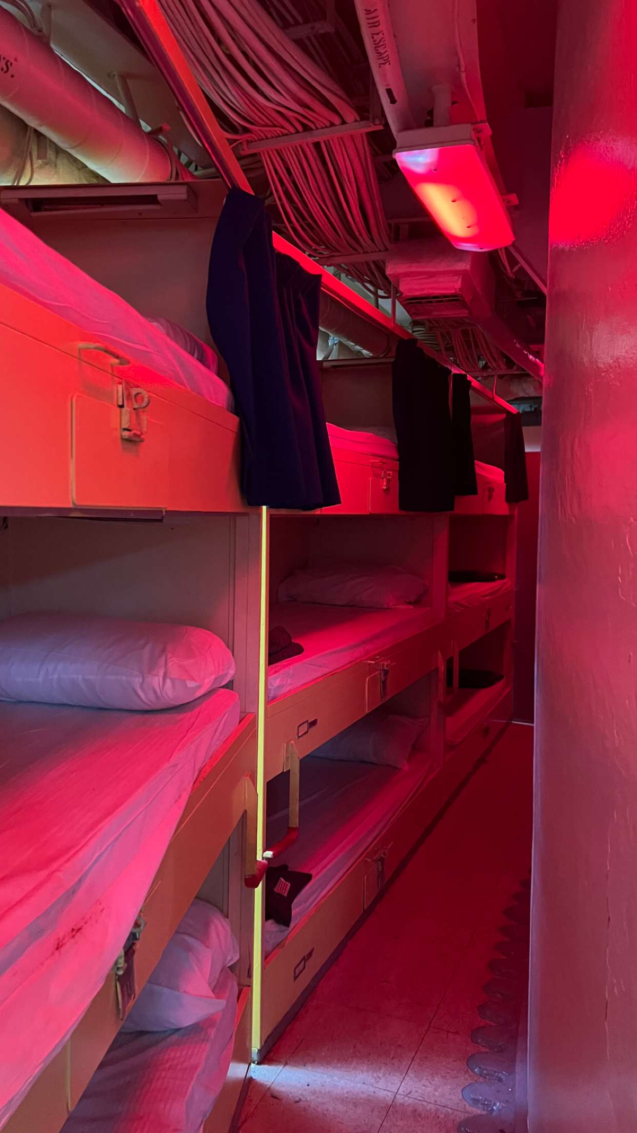 carmmieecat snapchat image archive image