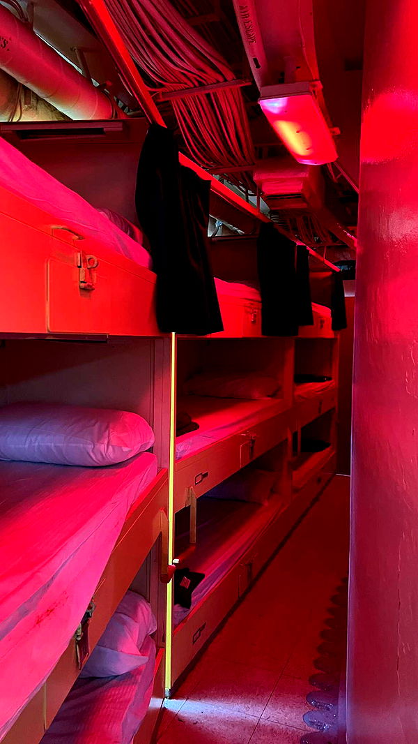 carmmieecat image ~ Altpins