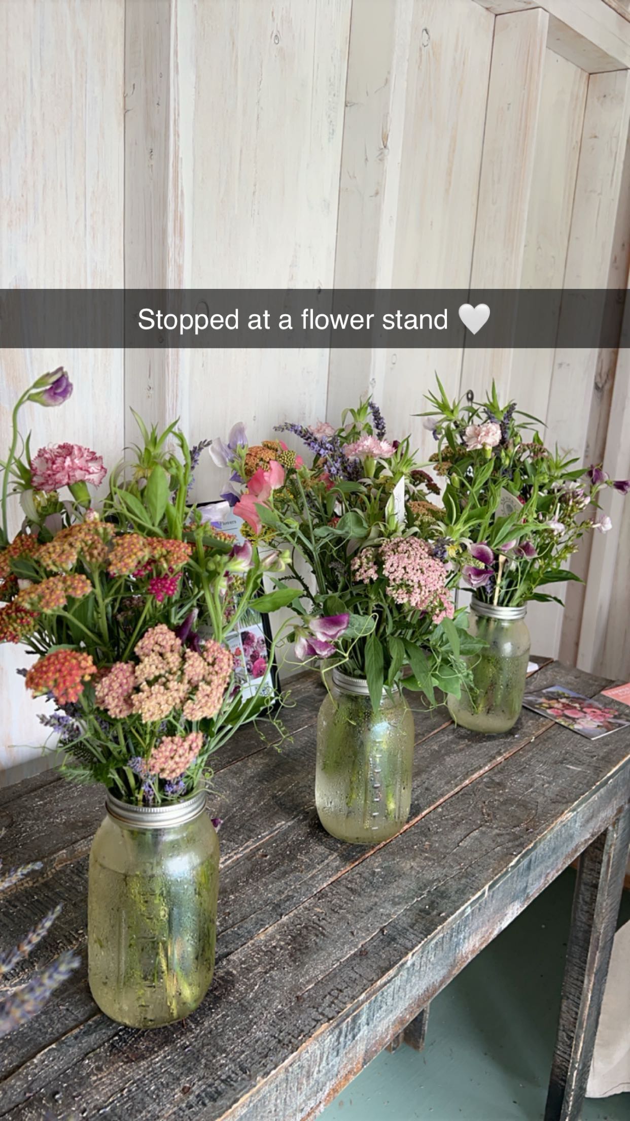 carmmieecat snapchat image archive image