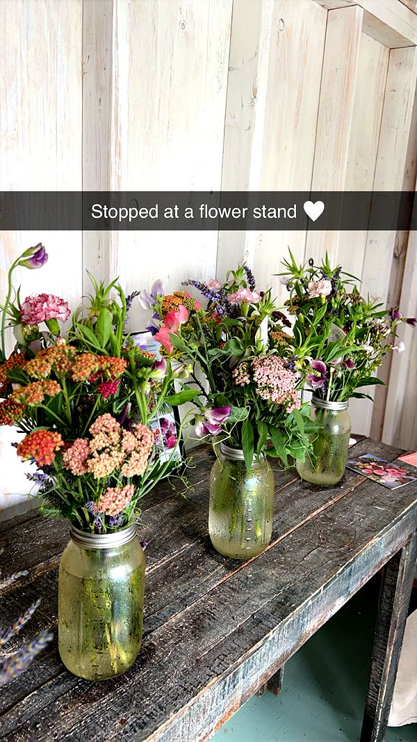 carmmieecat image ~ Altpins