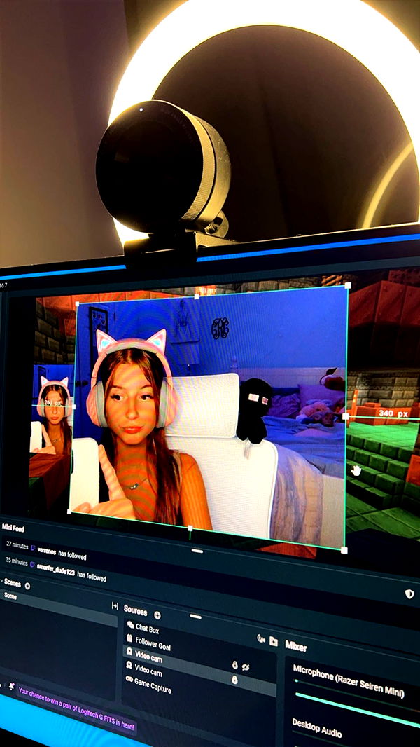 carmmieecat image ~ Altpins