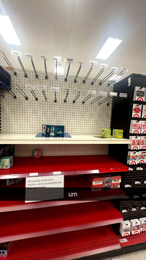 carmmieecat image ~ Altpins