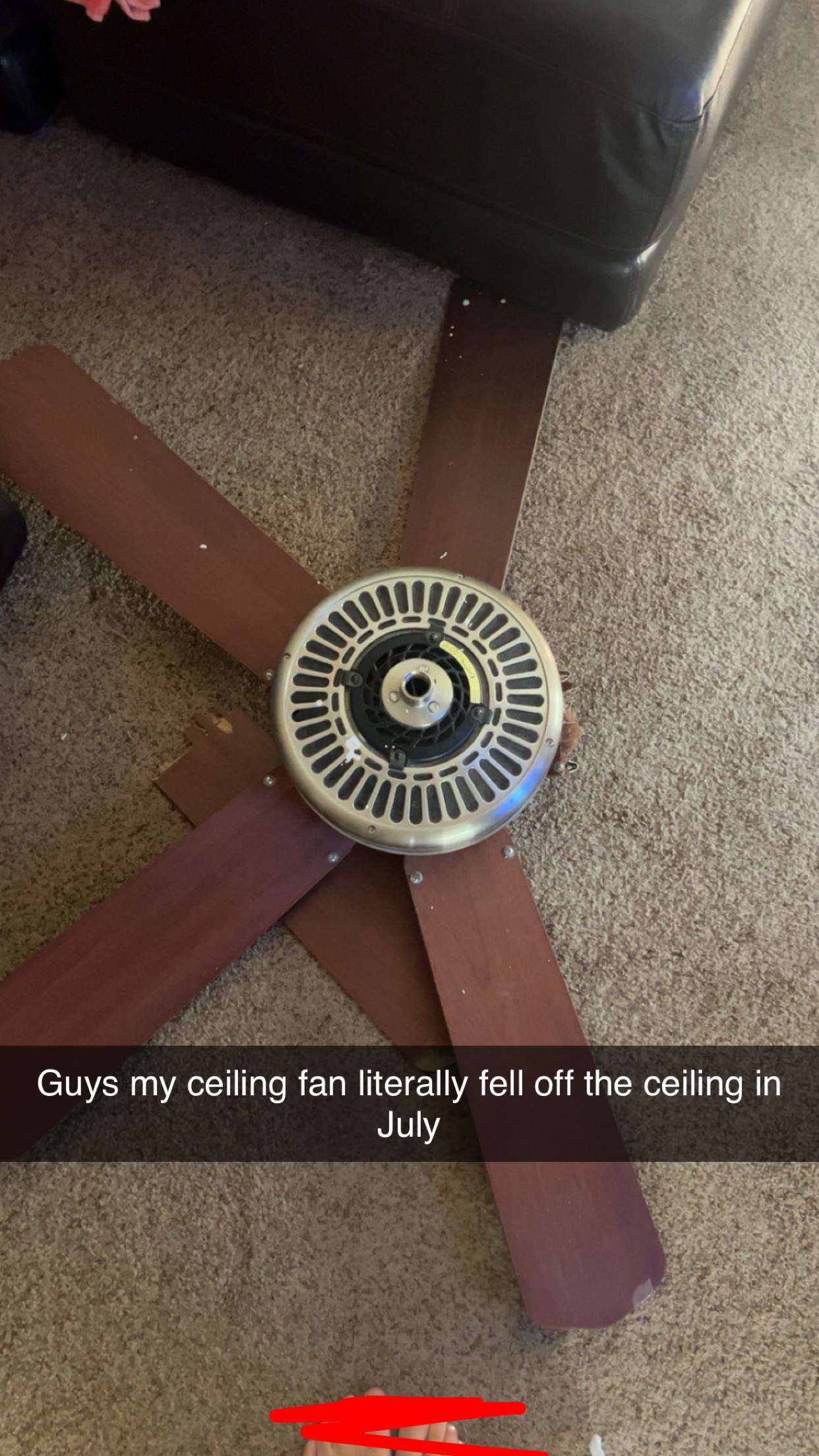 carmmieecat snapchat image archive image