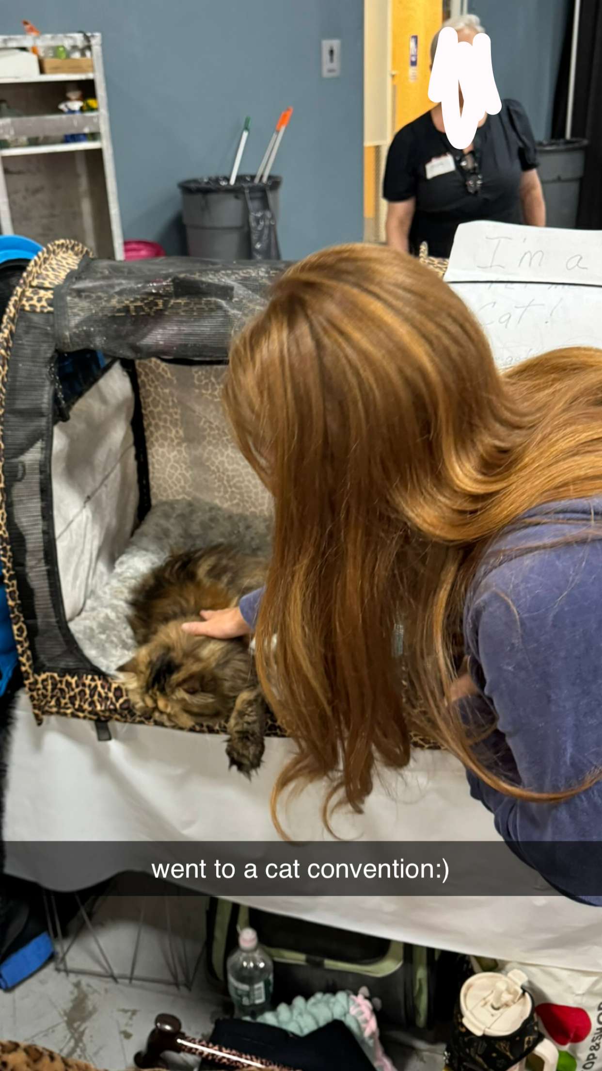 carmmieecat snapchat image archive image