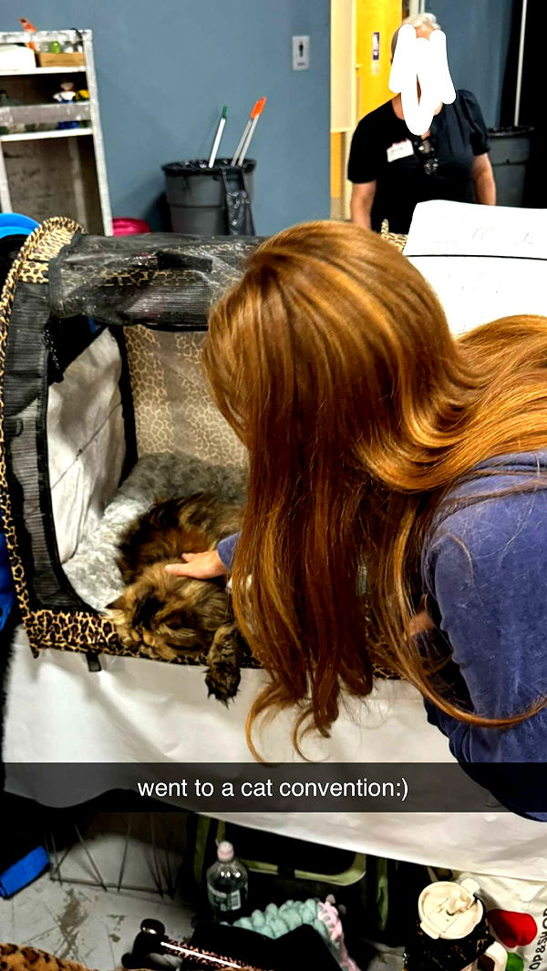 carmmieecat image ~ Altpins