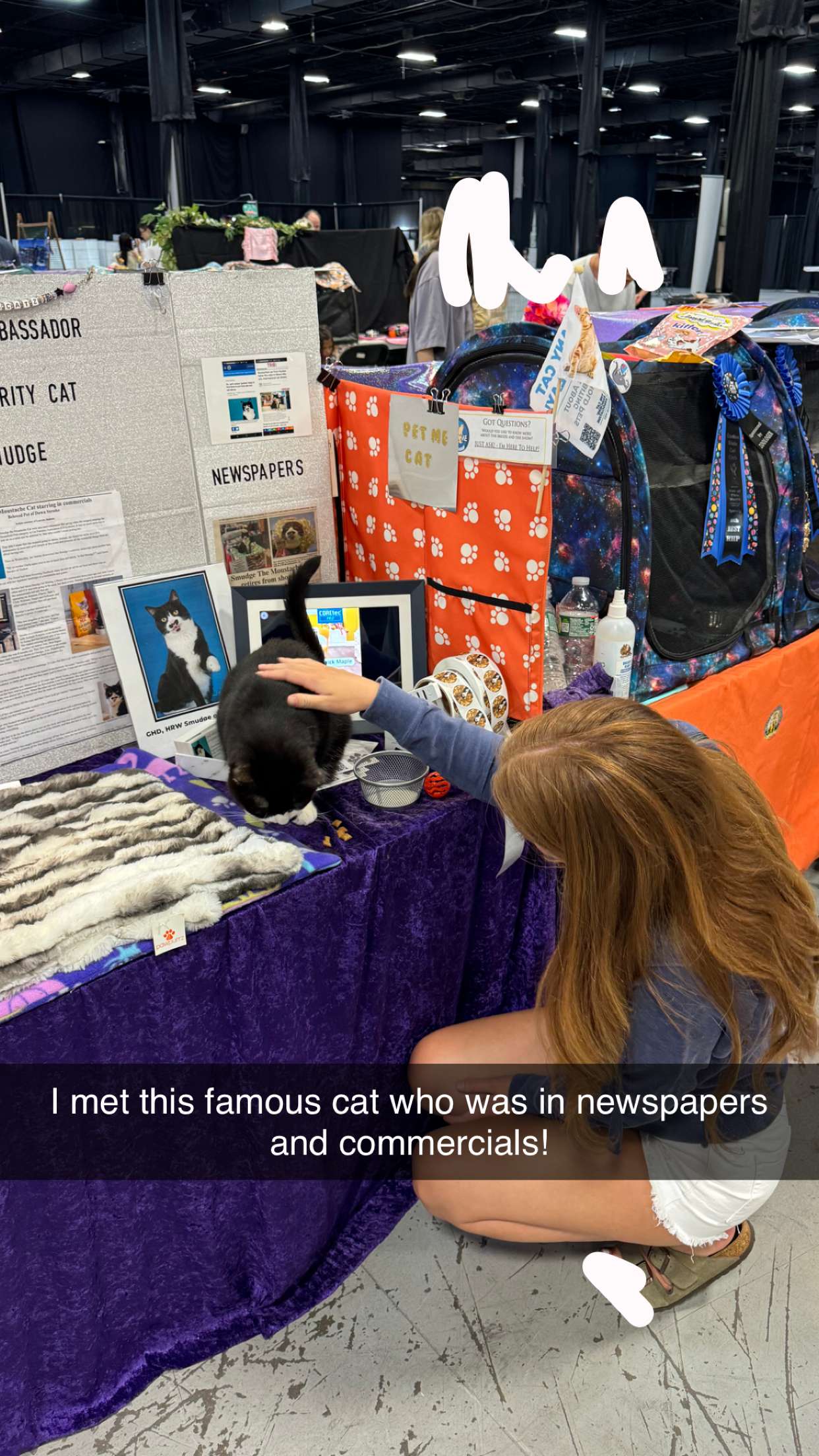 carmmieecat snapchat image archive image