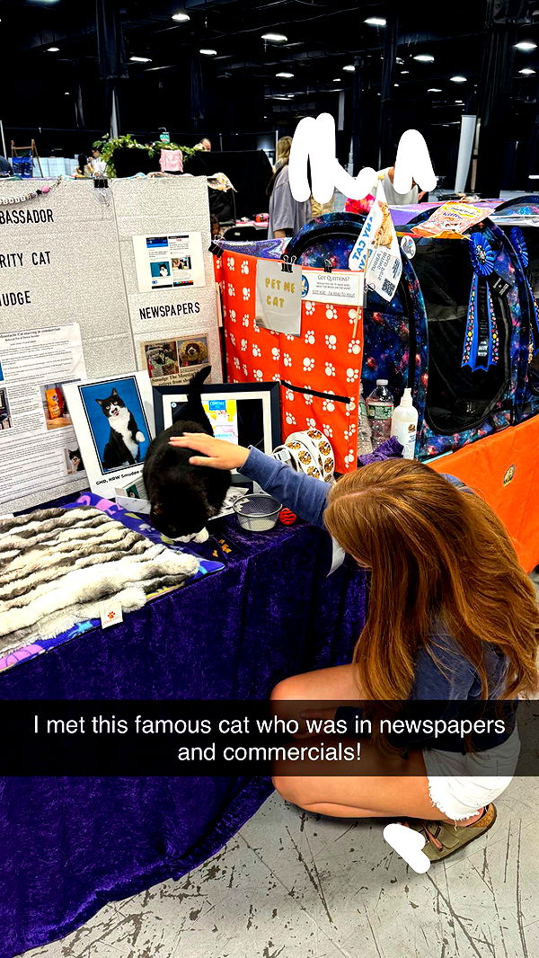 carmmieecat image ~ Altpins