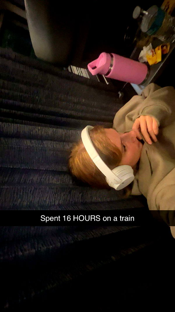 carmmieecat image ~ Altpins