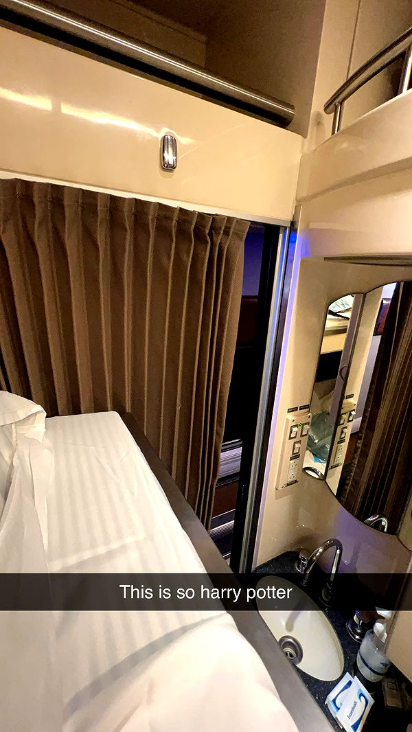 carmmieecat image ~ Altpins