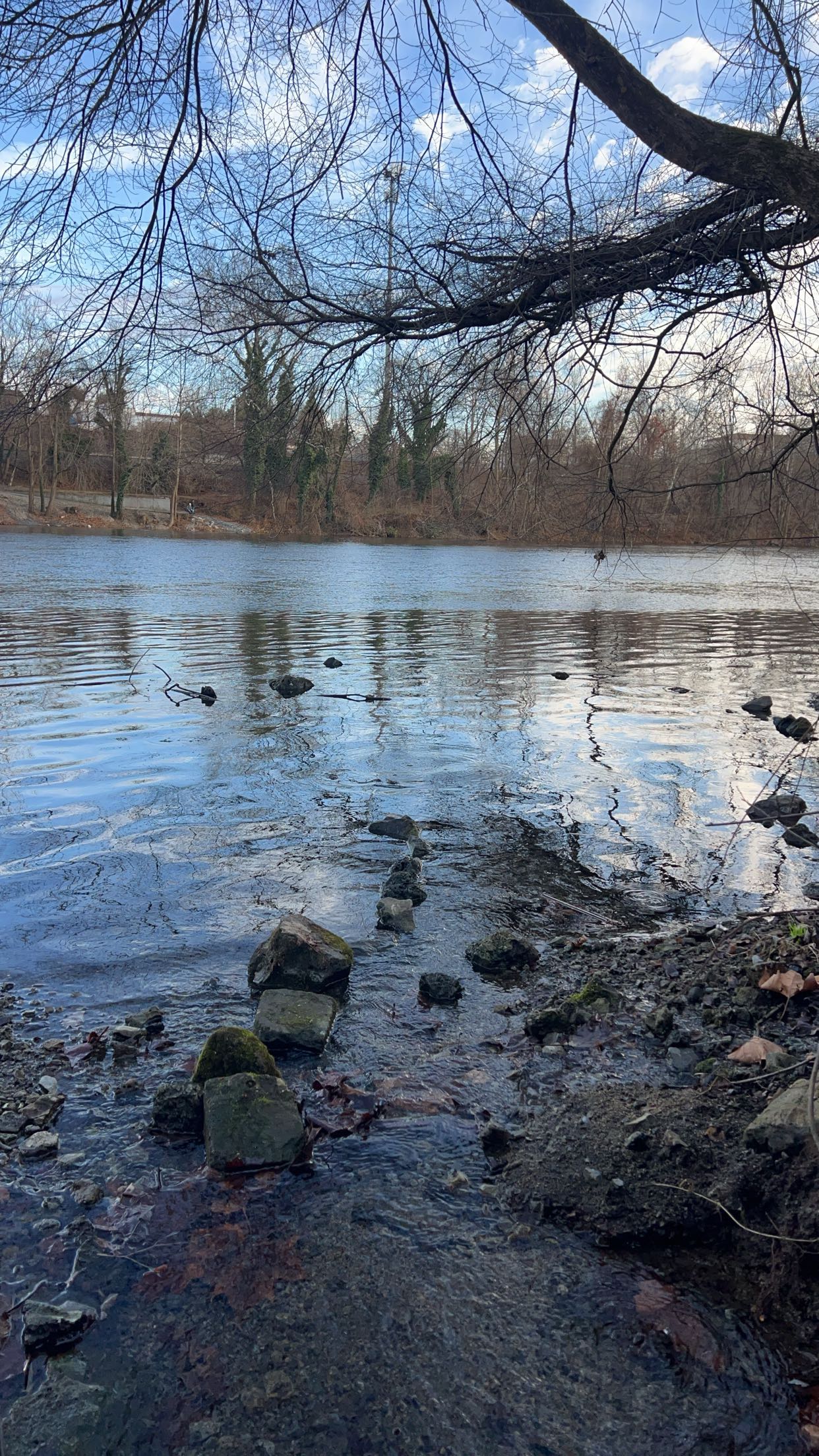 carmmieecat snapchat image archive image