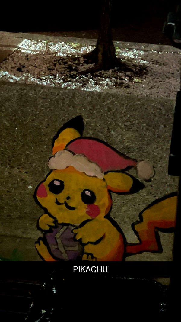 carmmieecat image ~ Altpins