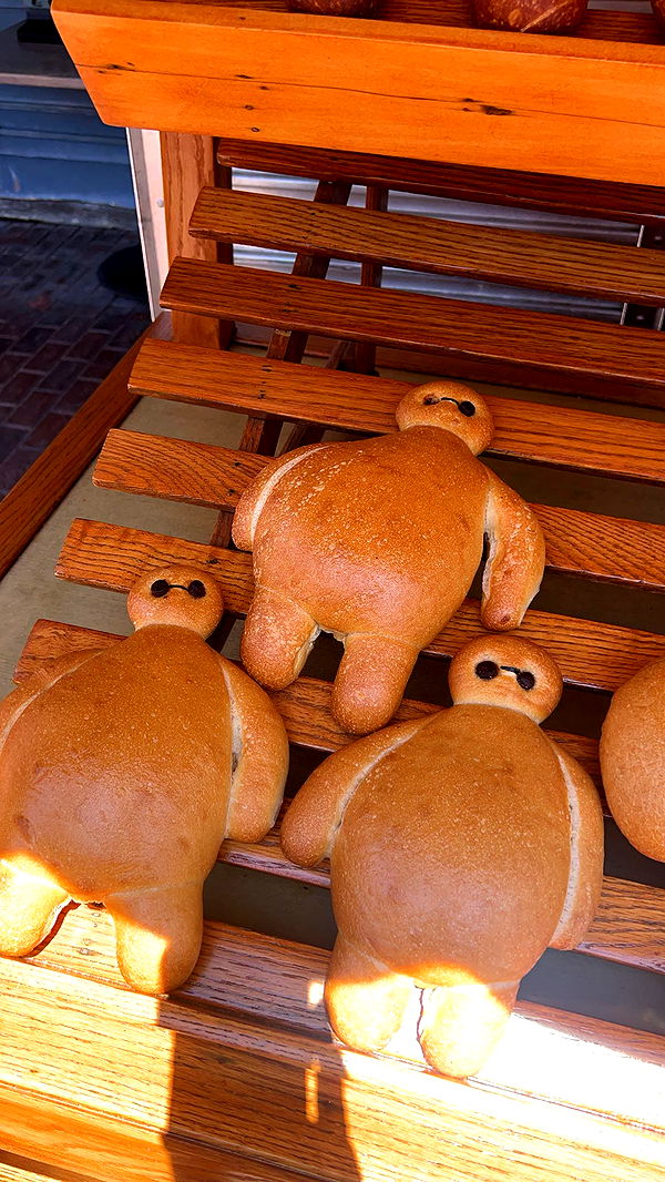 carmmieecat image ~ Altpins