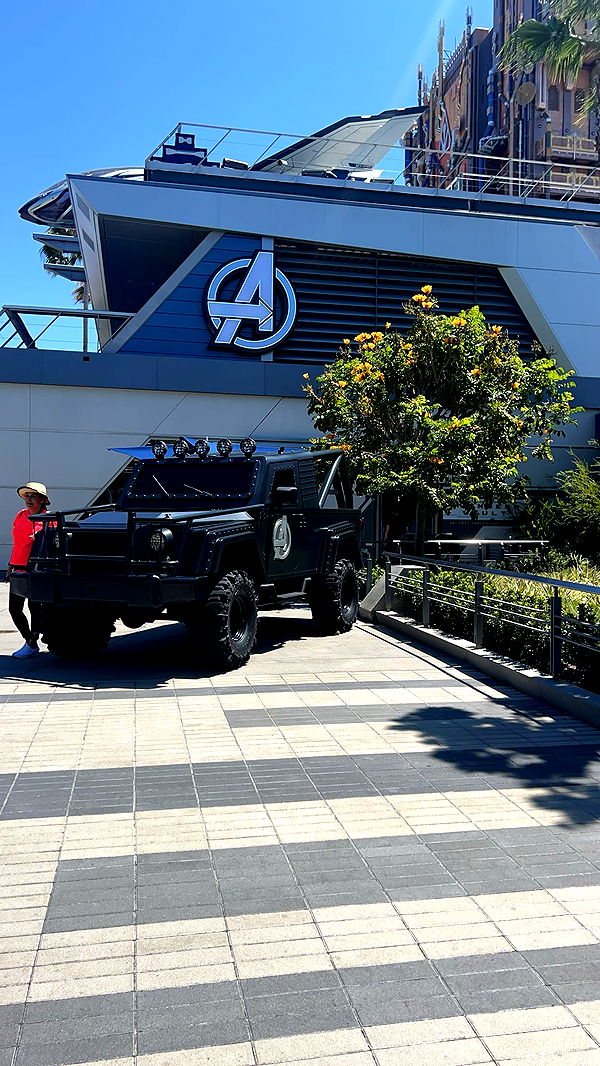 carmmieecat image ~ Altpins