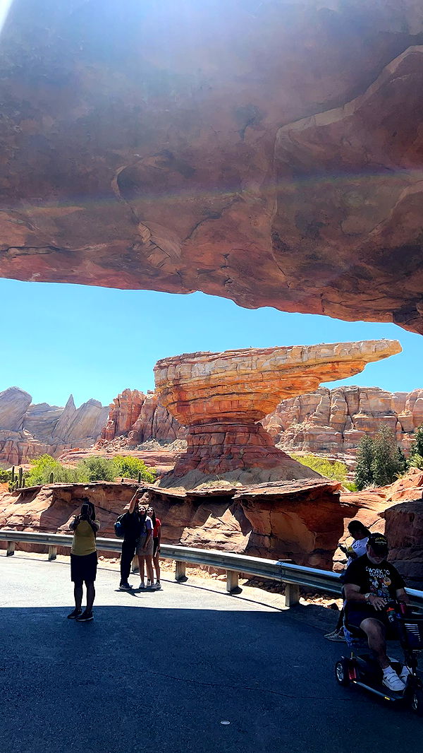 carmmieecat image ~ Altpins