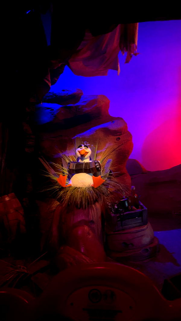 carmmieecat image ~ Altpins