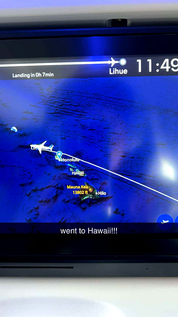 carmmieecat image ~ Altpins