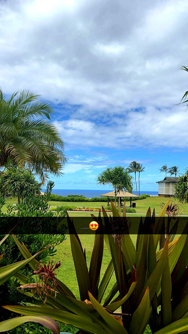 carmmieecat image ~ Altpins