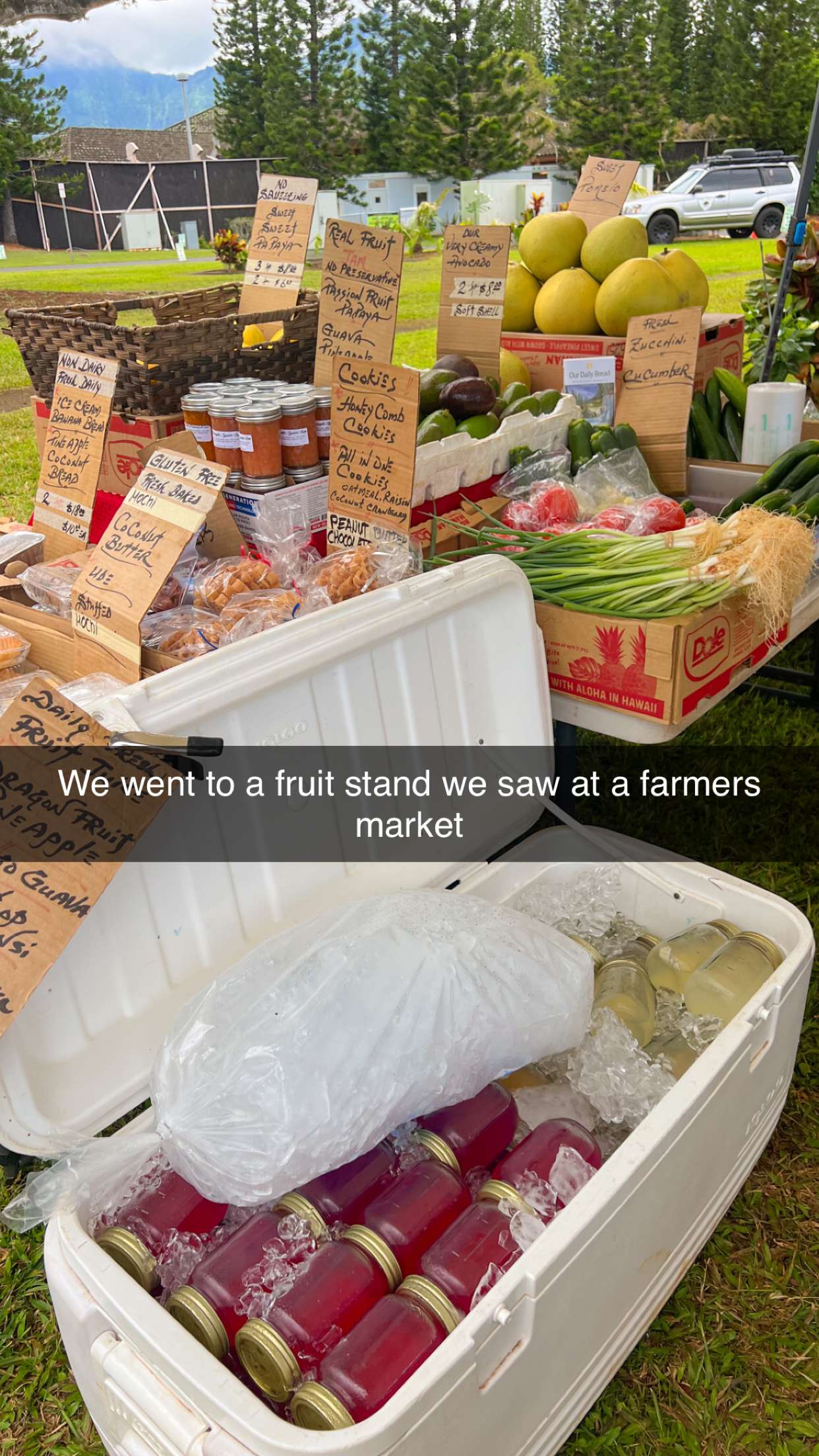 carmmieecat snapchat image archive image