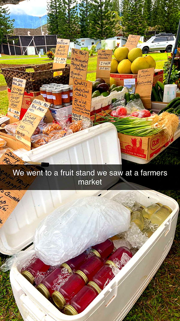 carmmieecat image ~ Altpins