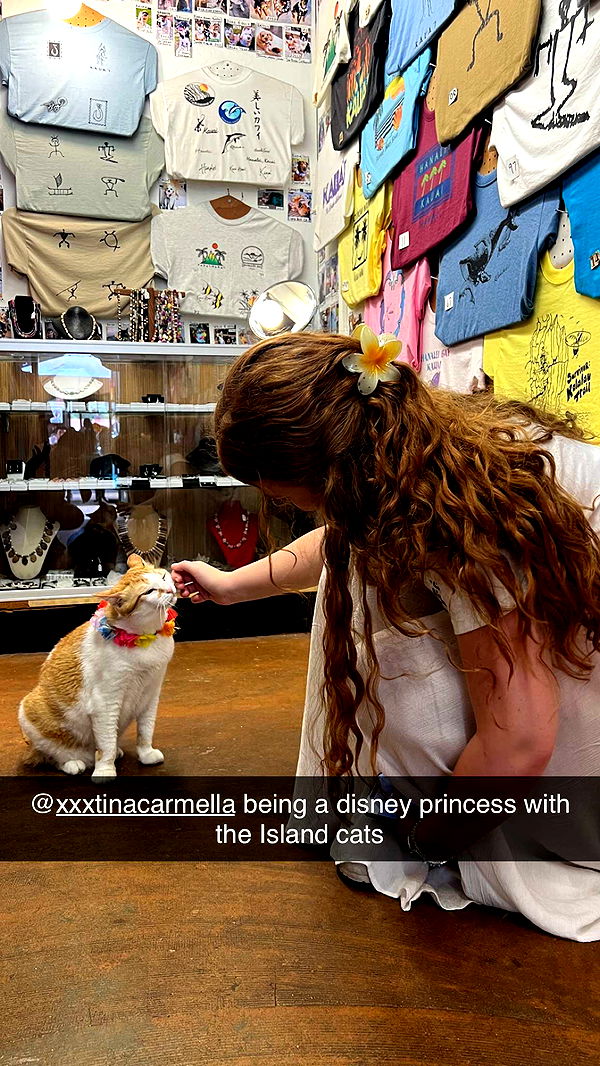 carmmieecat image ~ Altpins