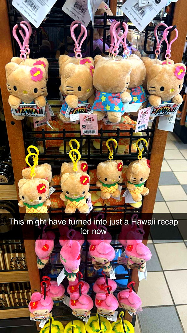 carmmieecat image ~ Altpins