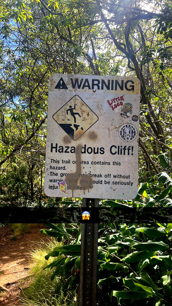 carmmieecat image ~ Altpins